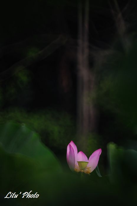 DSC_7404.jpg