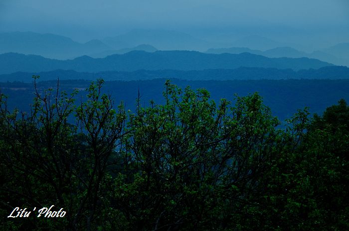 DSC_0126.jpg