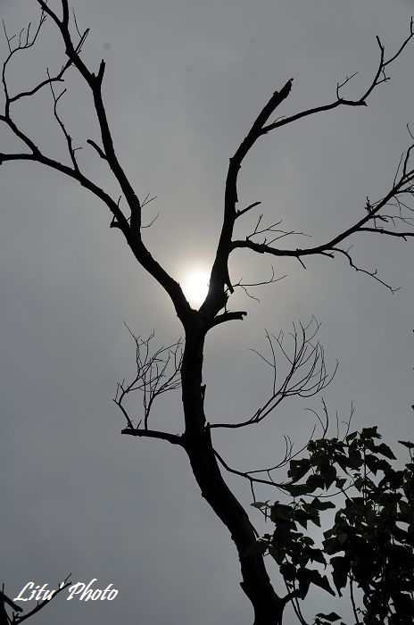 DSC_9984.jpg