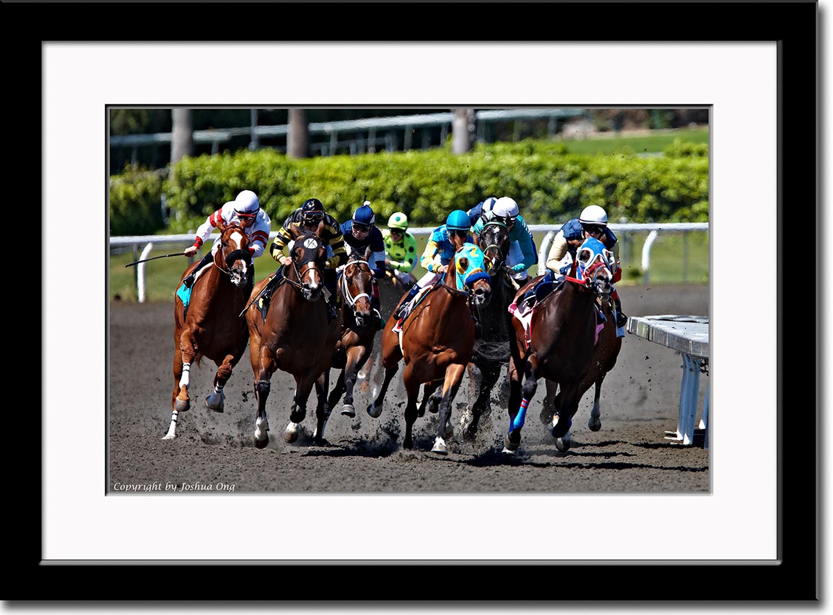 Santa Anita Race Track