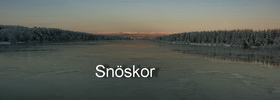 Winter/Vinter