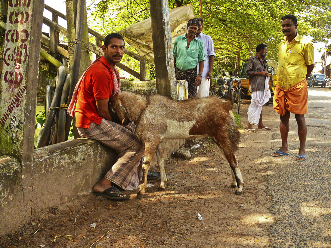 Man with goat.jpg