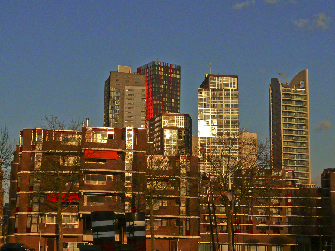 View over Rotterdam.jpg