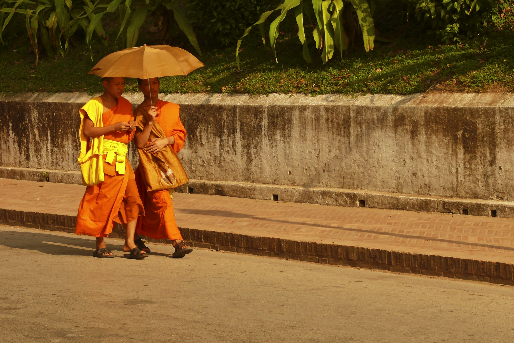 Monks with umbrellas LP.jpg