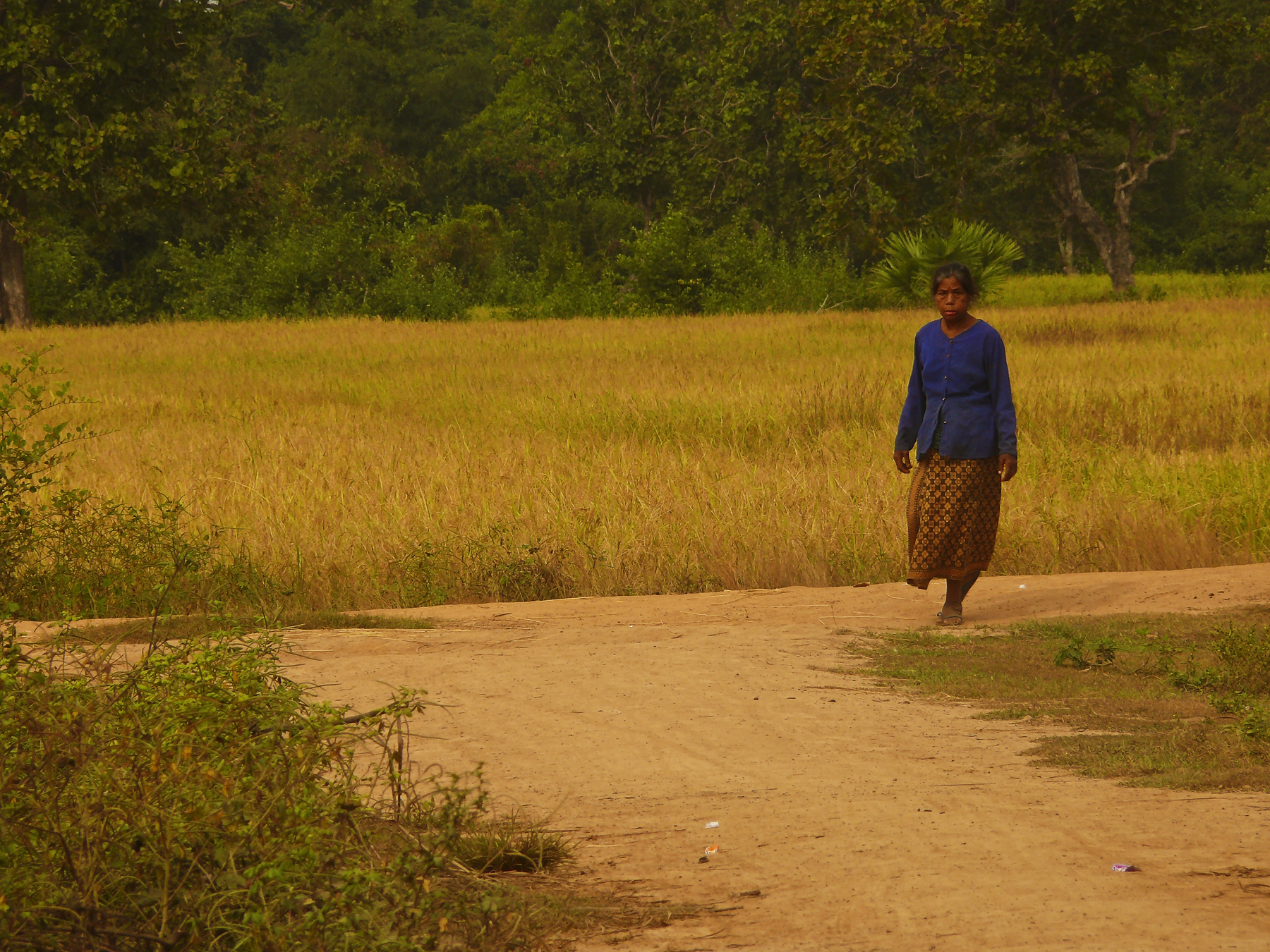 Woman in the fields.jpg