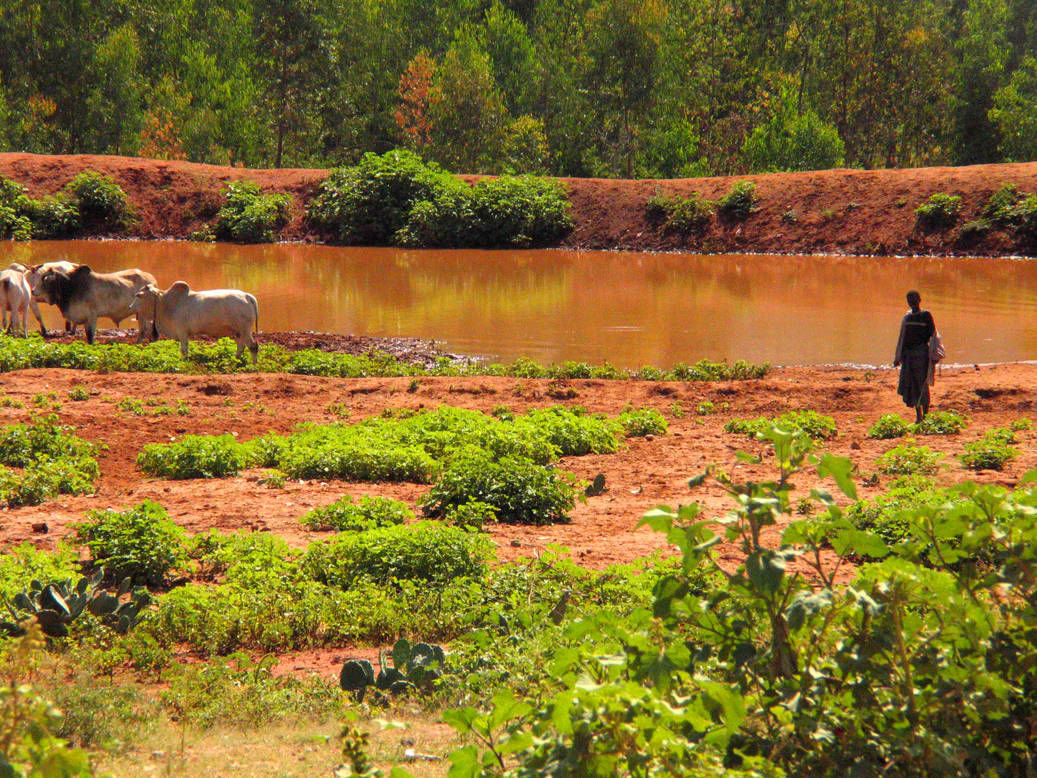 Watering hole