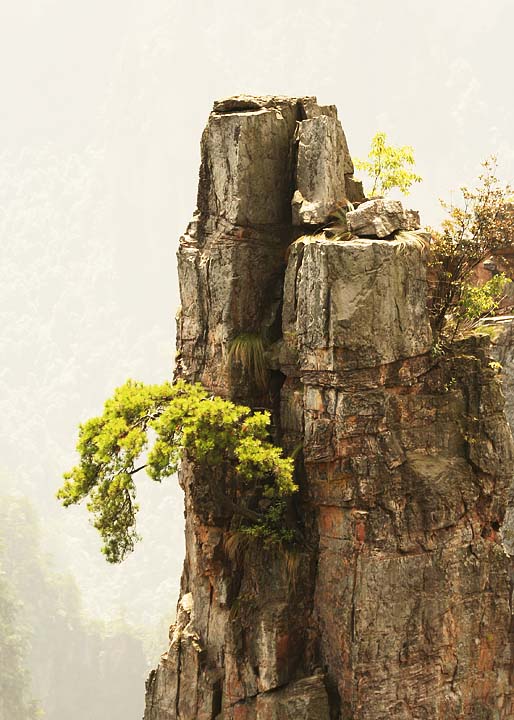 Living on the edge