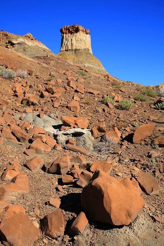 New Mexico