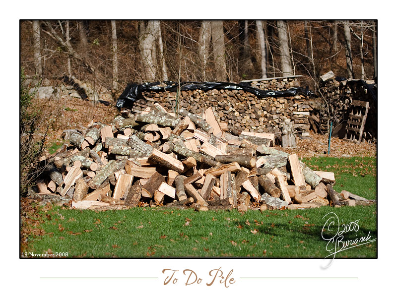 19Nov2008 To Do Pile 23752