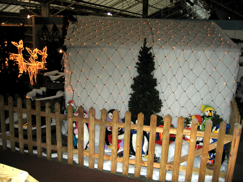fence keeping the penguins in