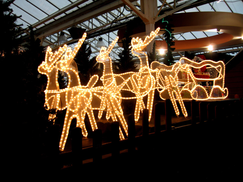 The Reindeers