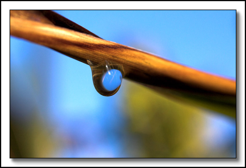 Rain drop