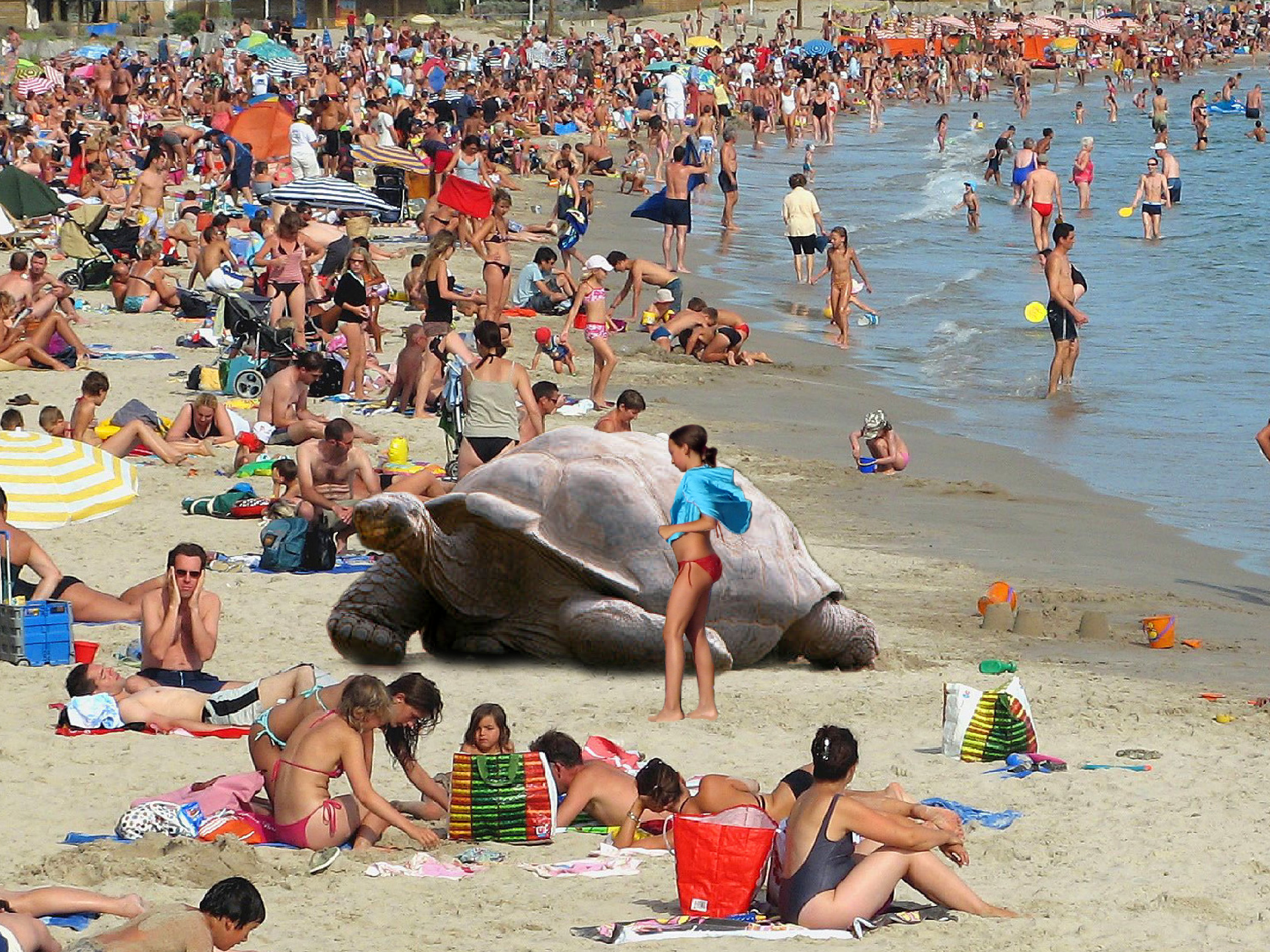 plage 4.JPG
