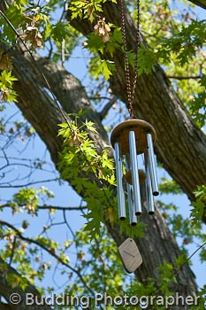 wind chime.jpg