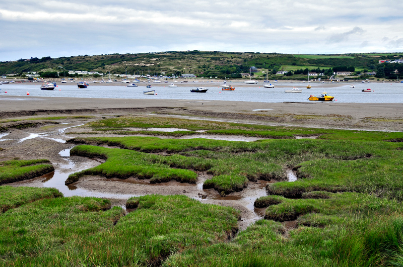River Teifi