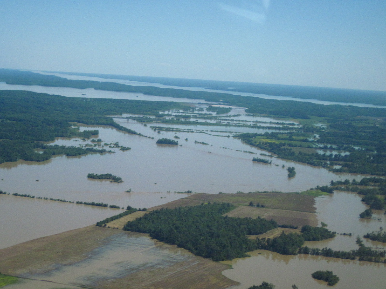 Livingston4