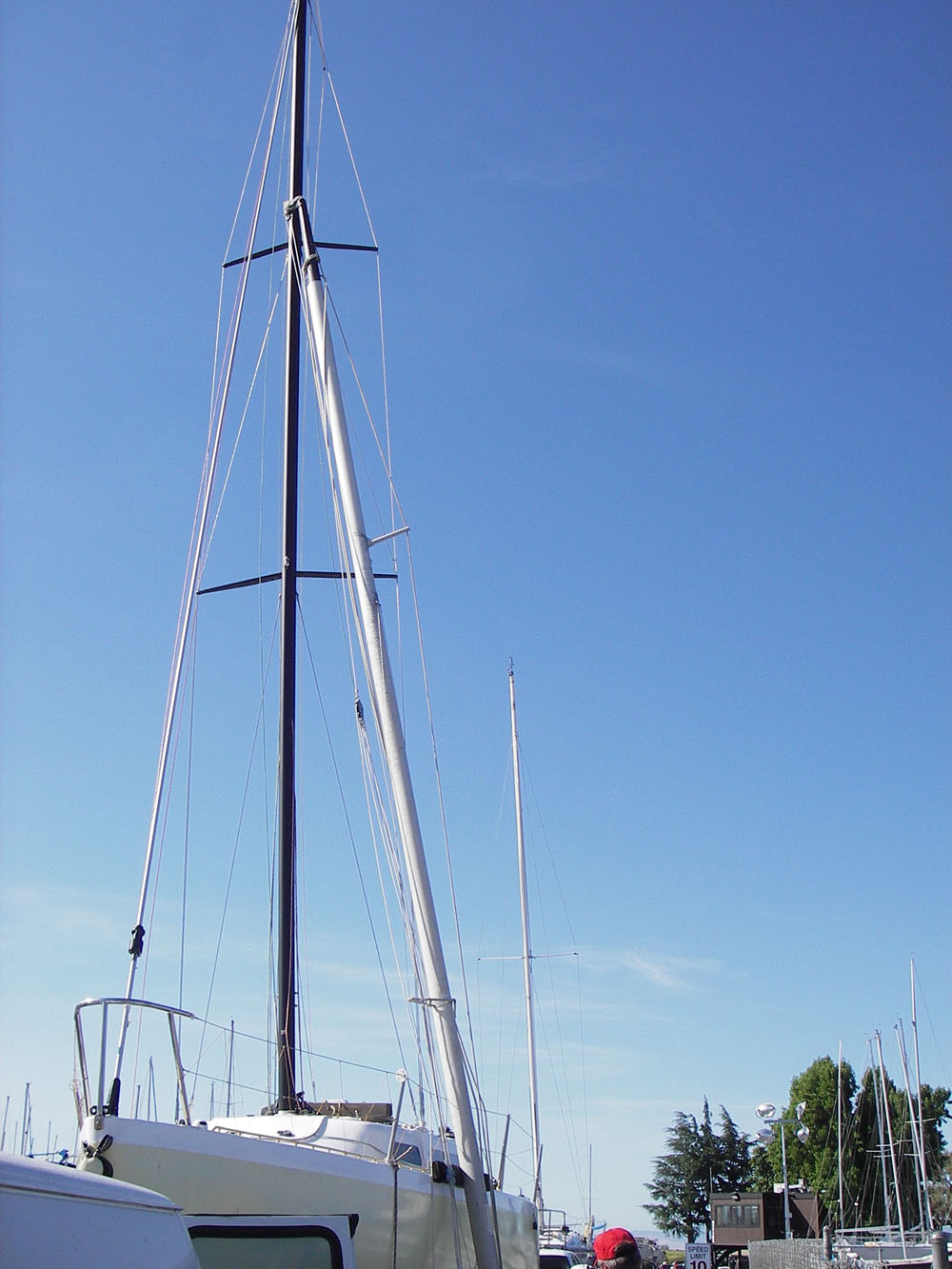 Arcadias mast crane (159)