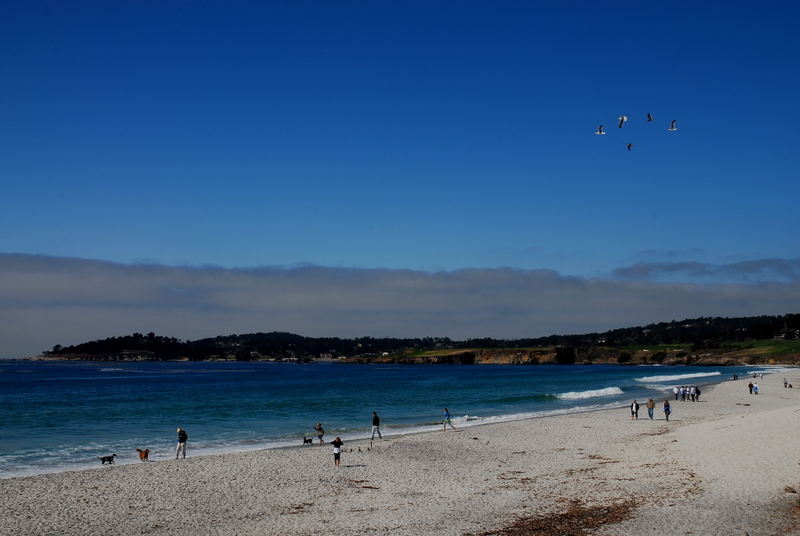 Half Moon Bay