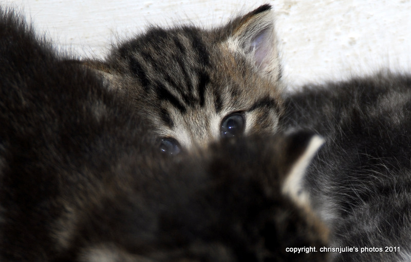 we can see you!!!!