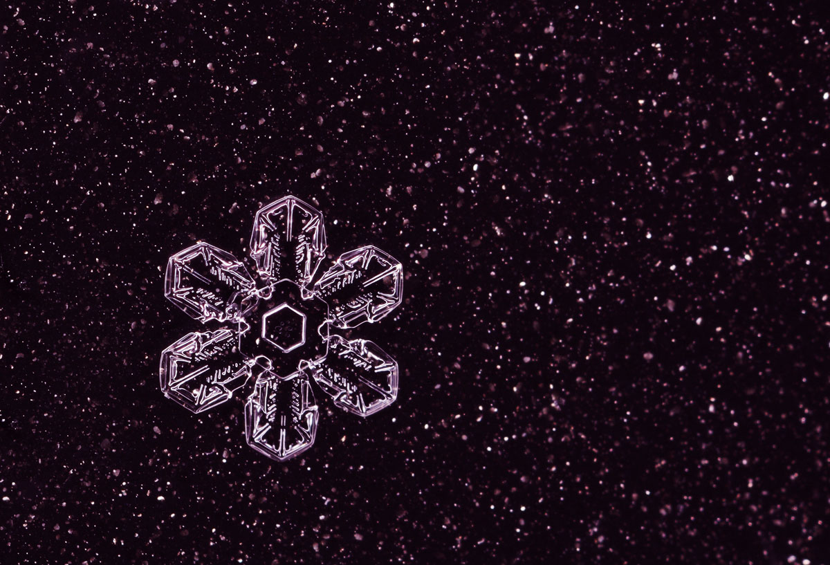 snowflake (IMG_2185p.jpg)