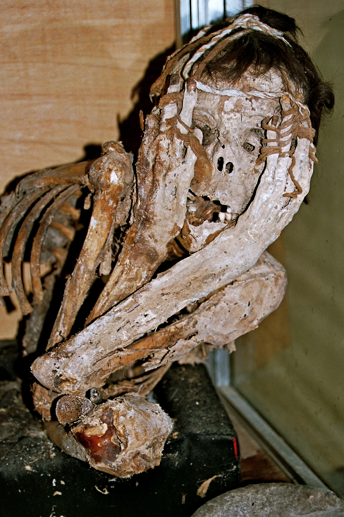 Chachapoya mummy found in Uchucmarca area