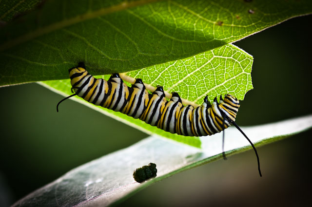 20100822-_DSC4818.jpg