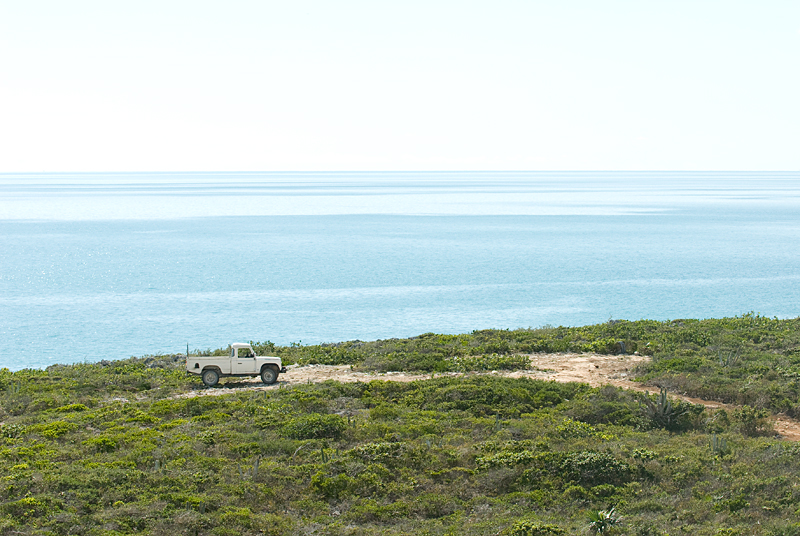 _DSC22362.jpg