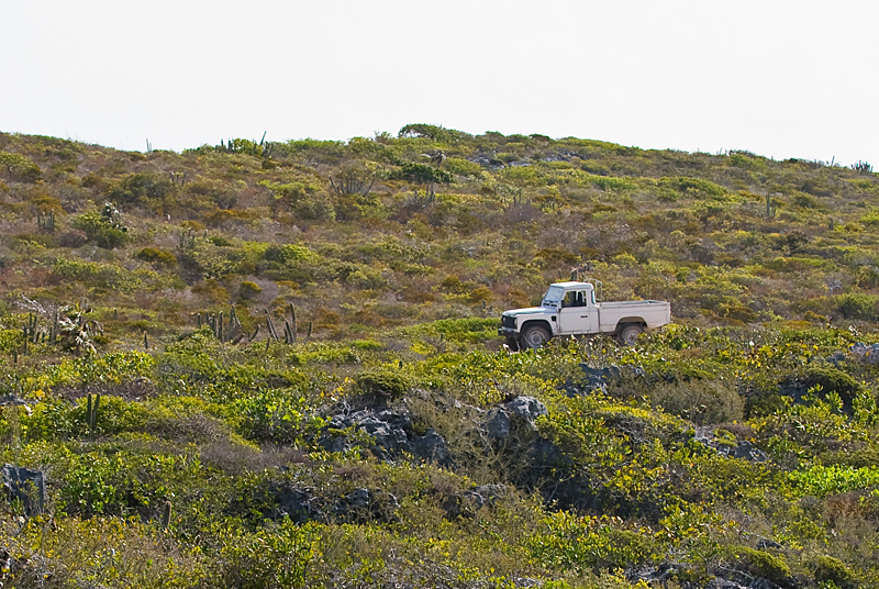 _DSC8059.jpg