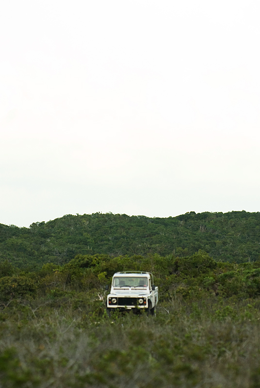 _DSC8809.jpg