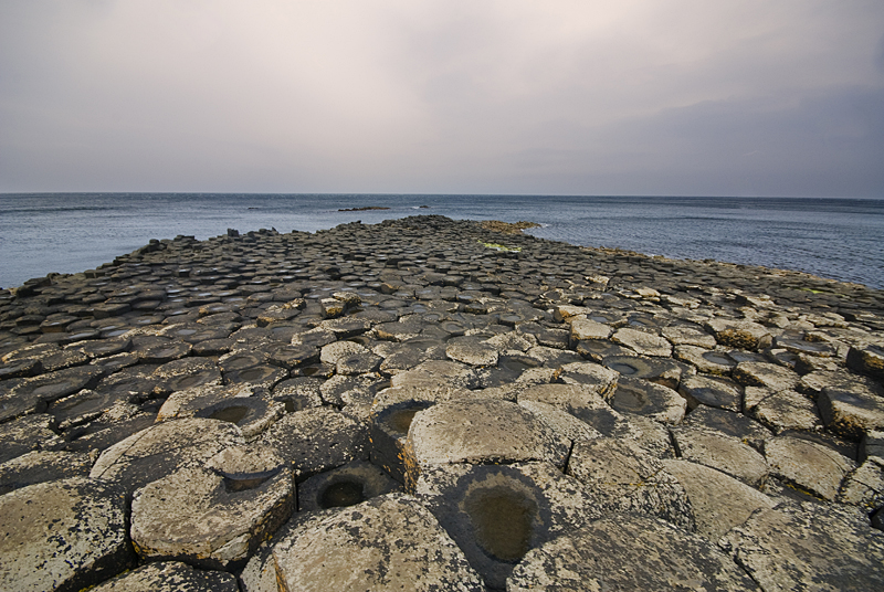 DSC_5043.jpg