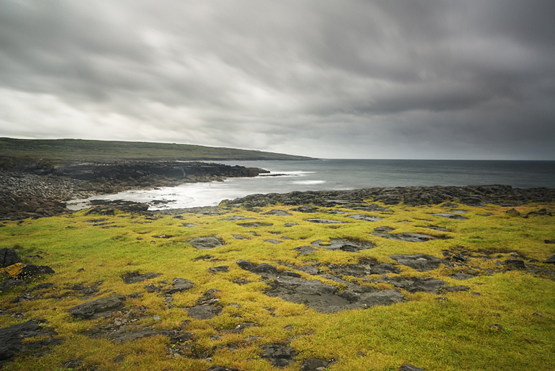 DSC_6409.jpg
