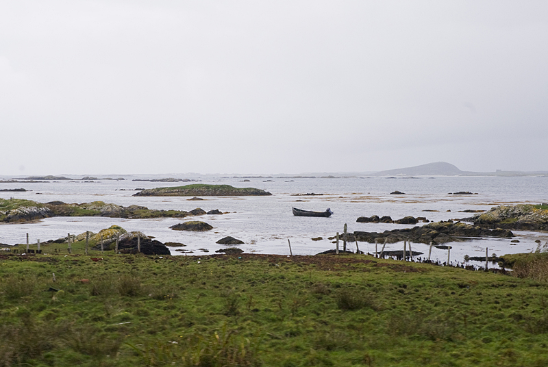 DSC_6608.jpg