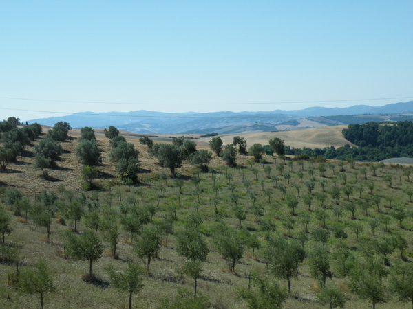 Tuscan Countryside