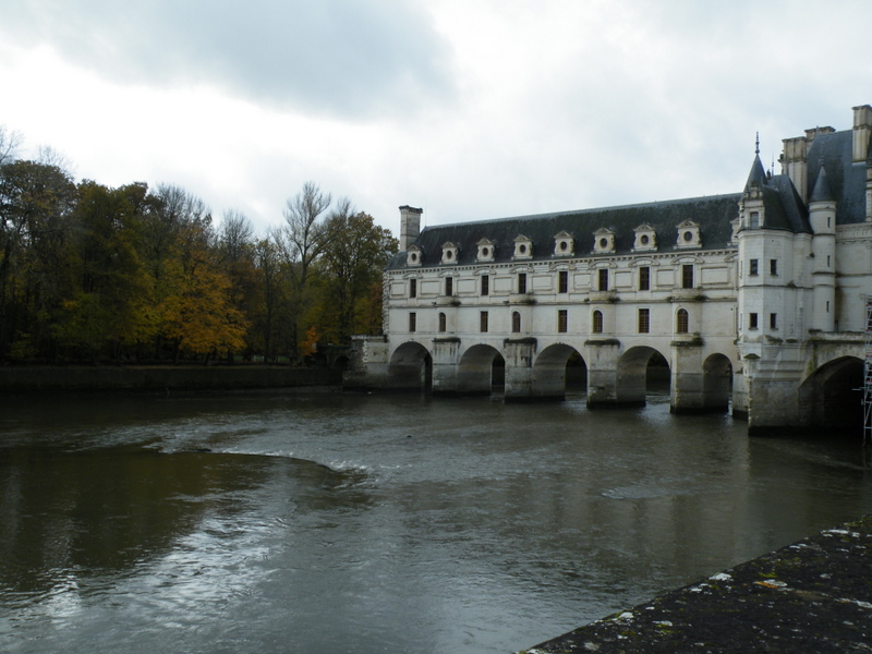 DSCF3446.JPG