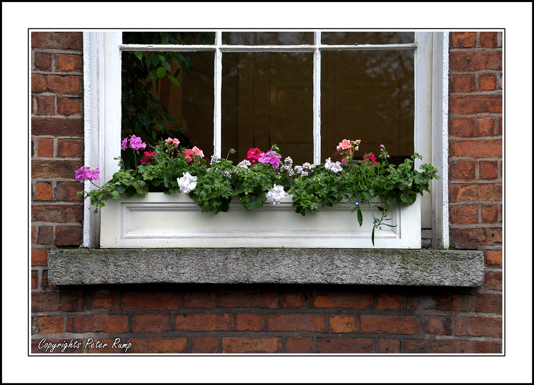 Window Box.