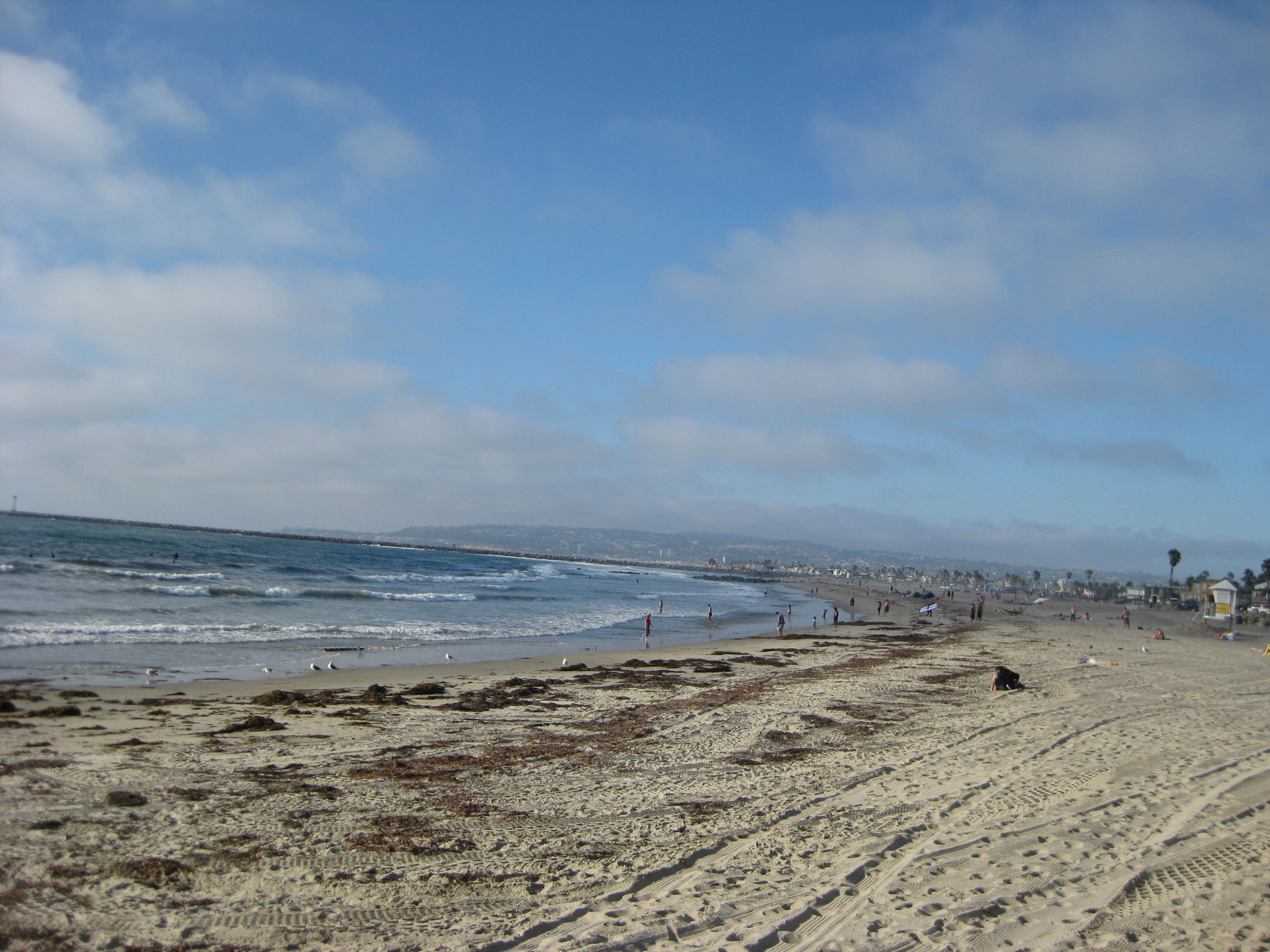 Ocean Beach