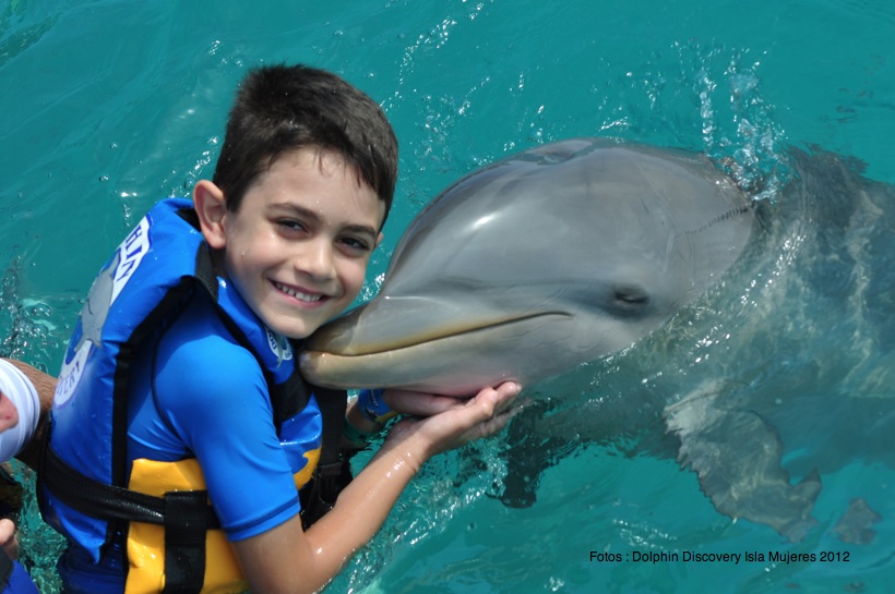 Parque Dolphin Discovery