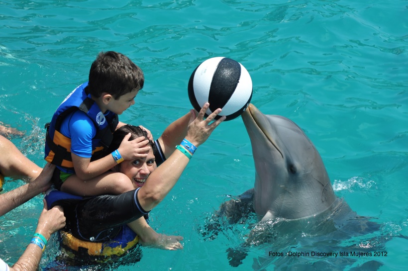 Parque Dolphin Discovery