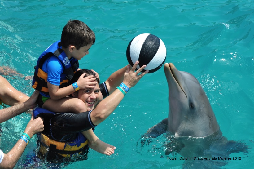 Parque Dolphin Discovery