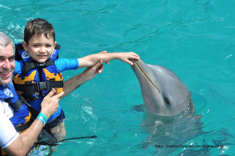 Parque Dolphin Discovery