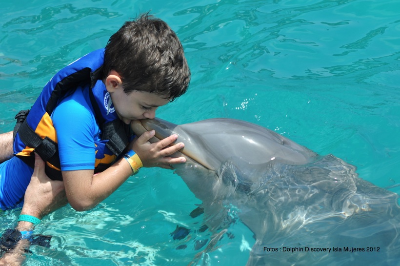 Parque Dolphin Discovery