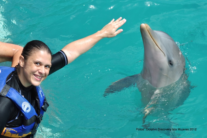 Parque Dolphin Discovery