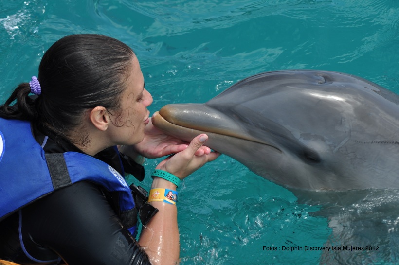 Parque Dolphin Discovery