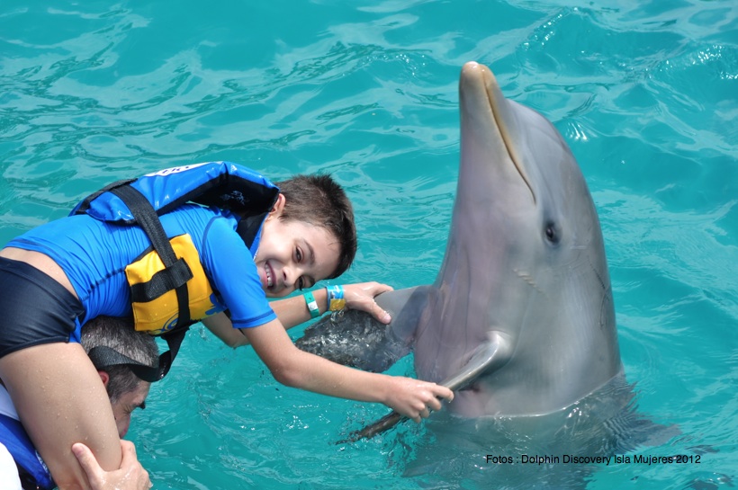 Parque Dolphin Discovery