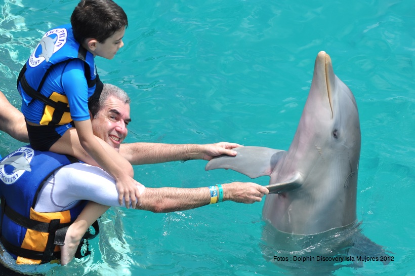 Parque Dolphin Discovery