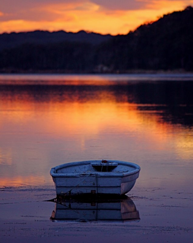 Popular shots 14.jpg
