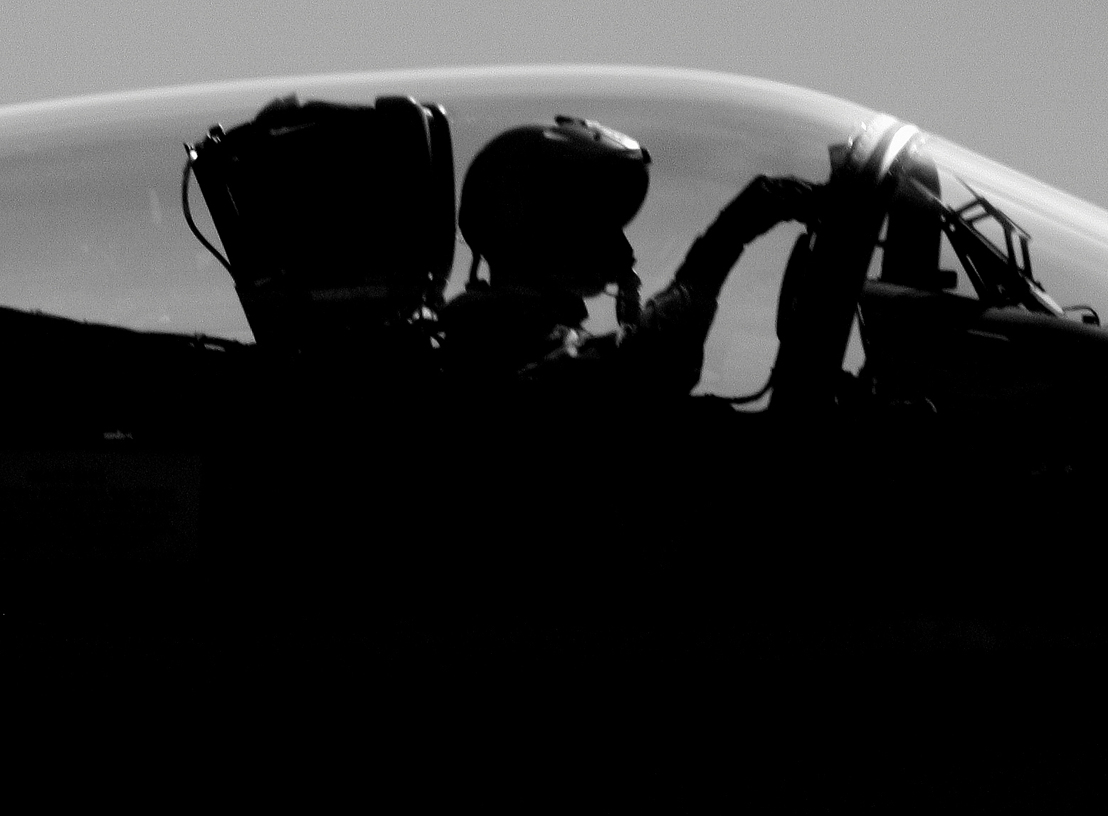 hornet silhouette.jpg