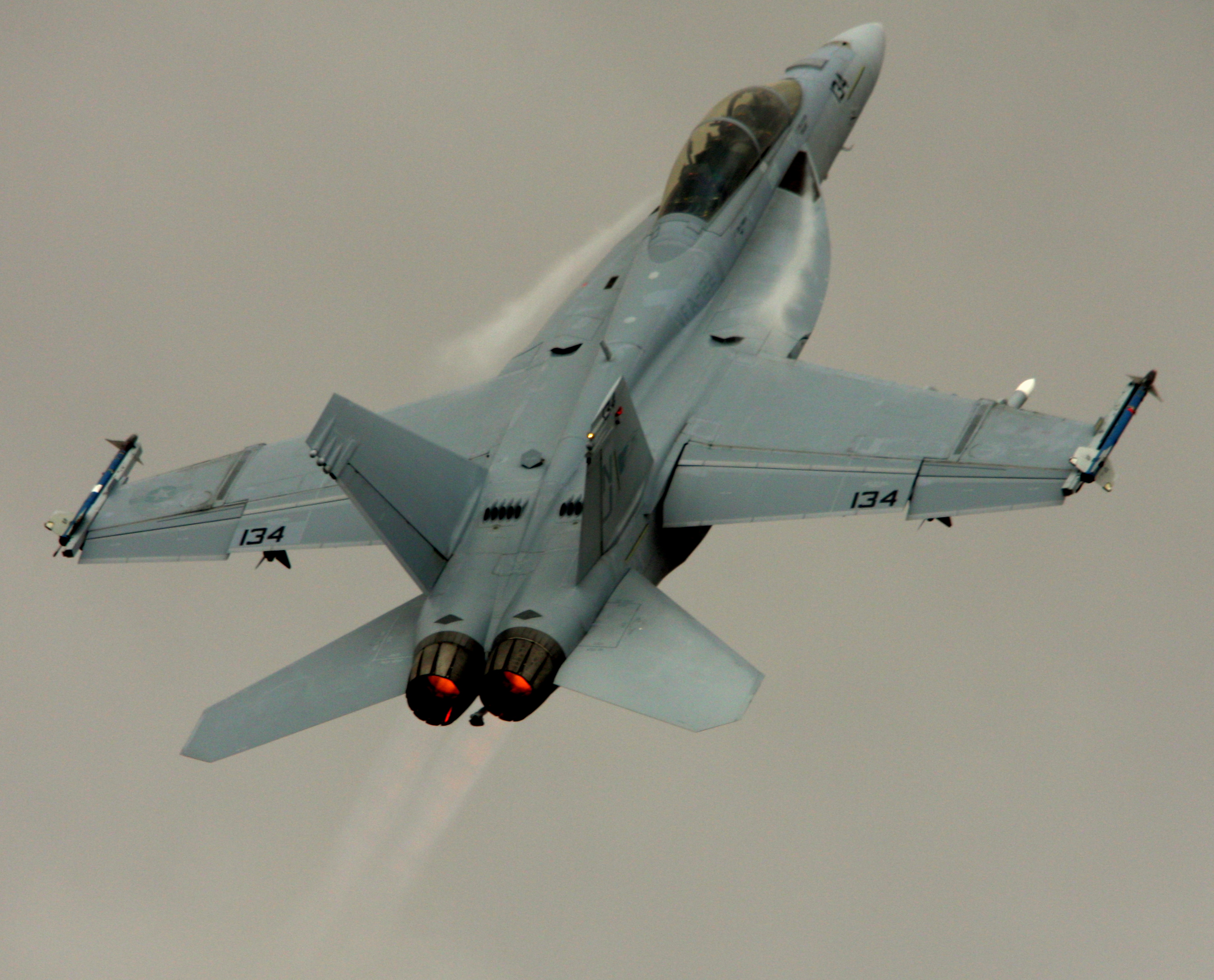 FA 18E goes vertical.jpg