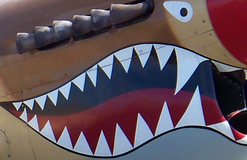 nose art.jpg