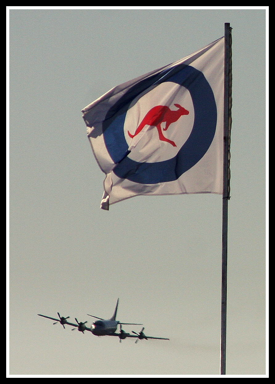 Flag and P3.jpg